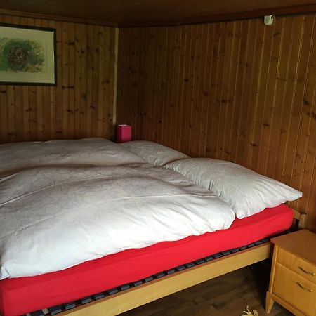 Bed and Breakfast Wohlfühloase für Mensch und Hund Uzwil Exterior foto