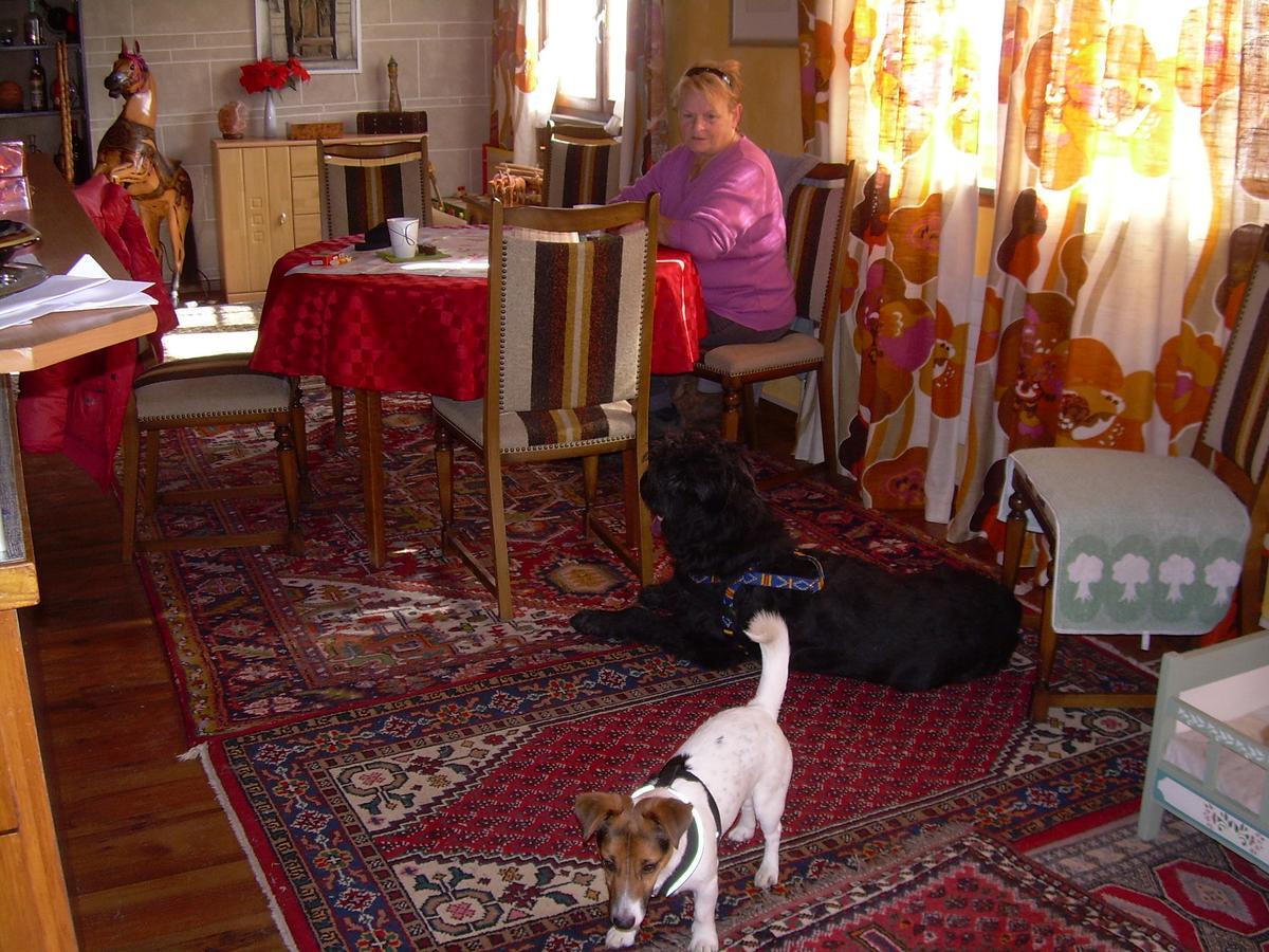 Bed and Breakfast Wohlfühloase für Mensch und Hund Uzwil Exterior foto