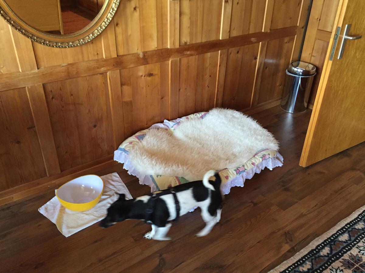 Bed and Breakfast Wohlfühloase für Mensch und Hund Uzwil Exterior foto
