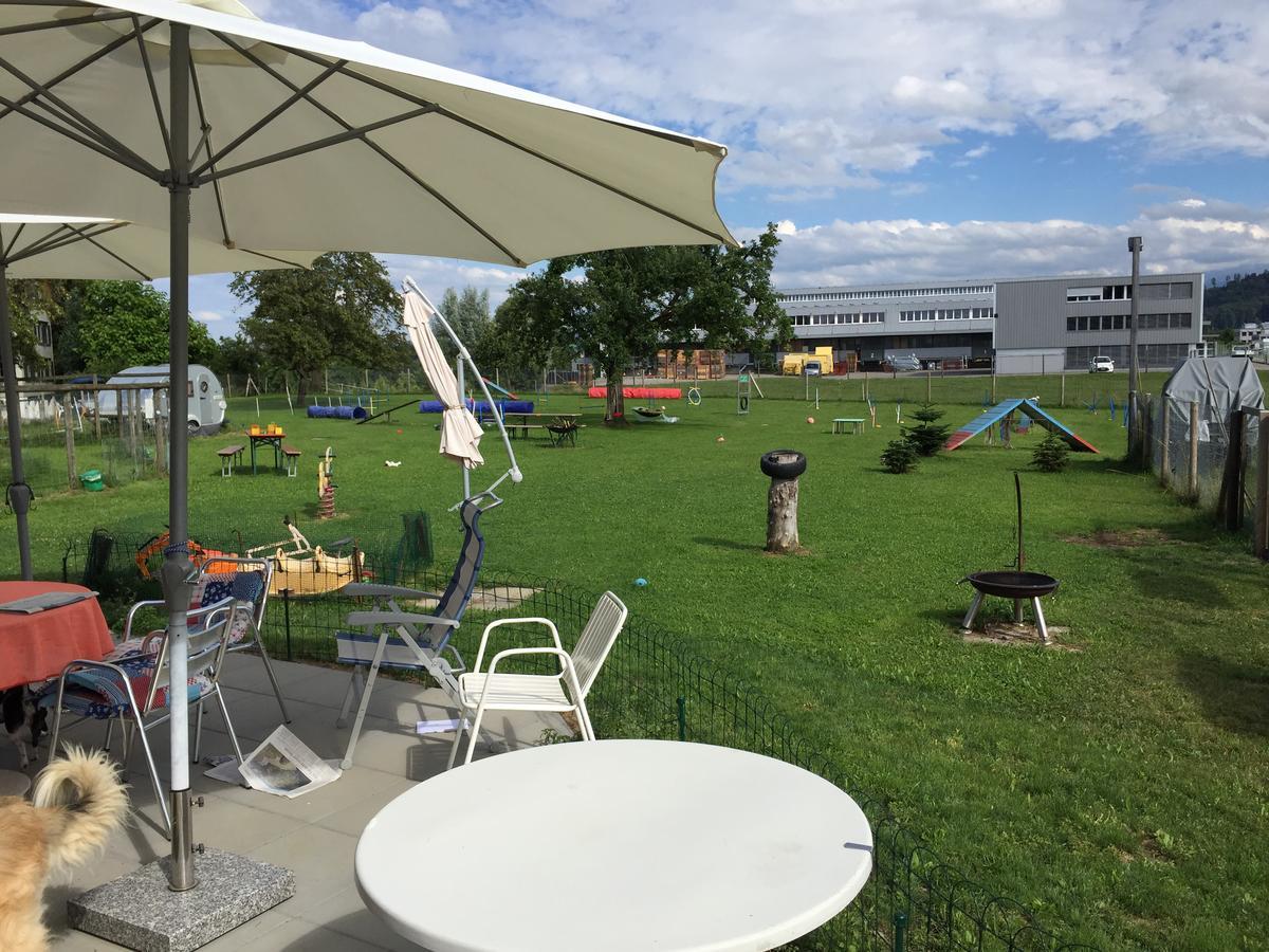 Bed and Breakfast Wohlfühloase für Mensch und Hund Uzwil Exterior foto